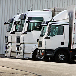 Business Vehicles
